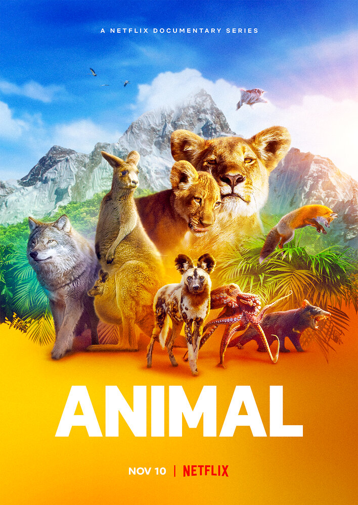 Animal