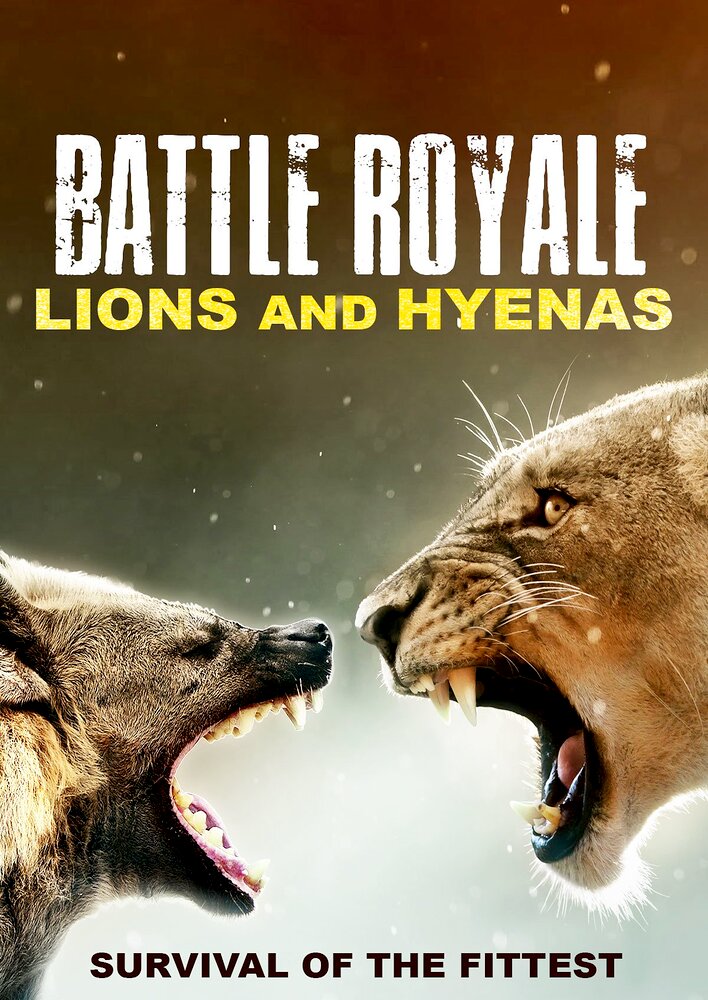 Battle Royale: Lions and Hyenas