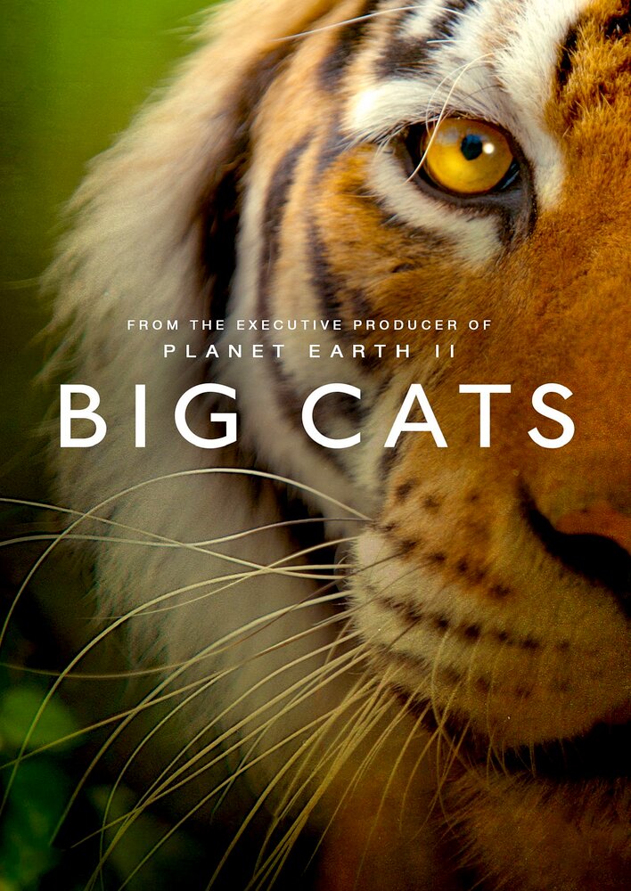 Big Cats