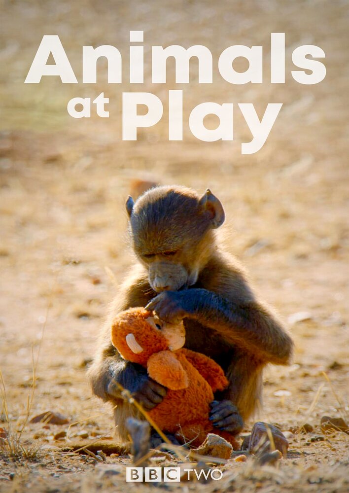 Animals at Play