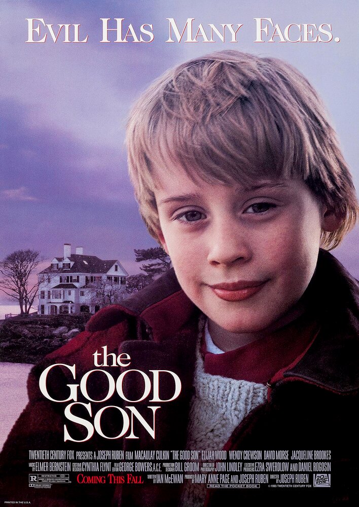 The Good Son