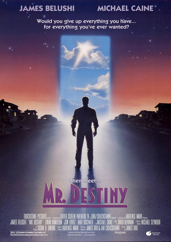 Mr. Destiny
