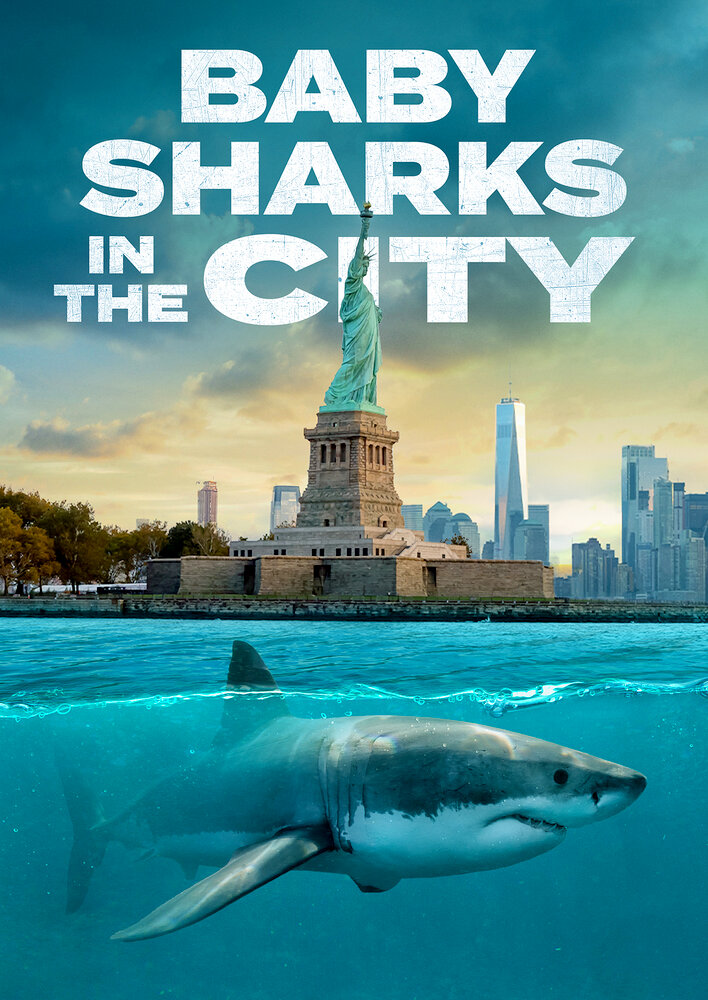 Baby Sharks in the City