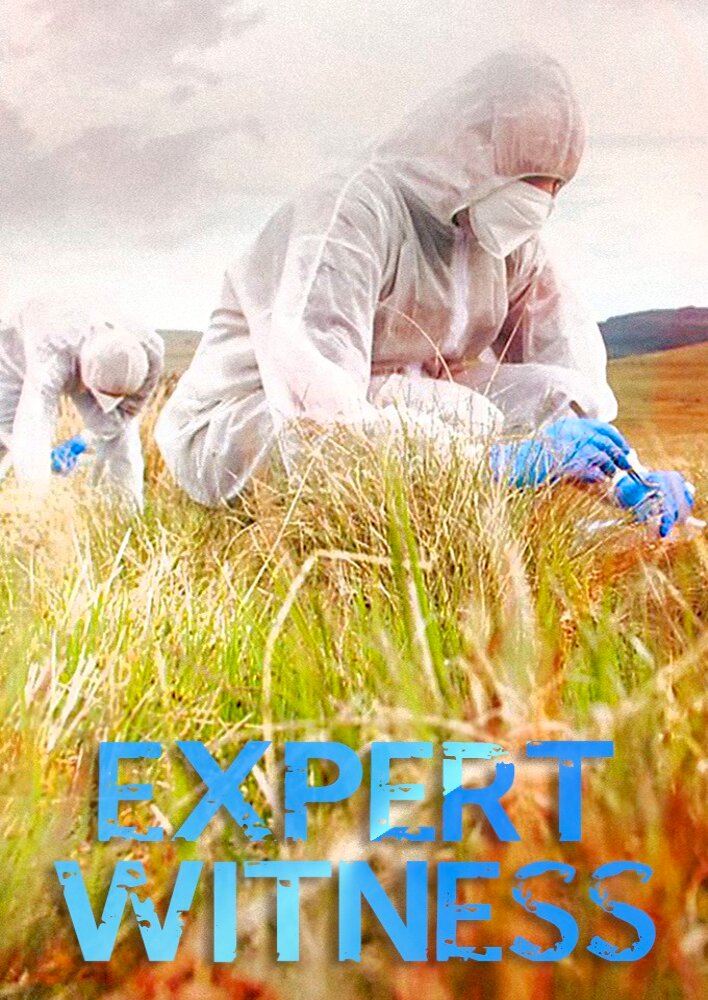 Expert Witness