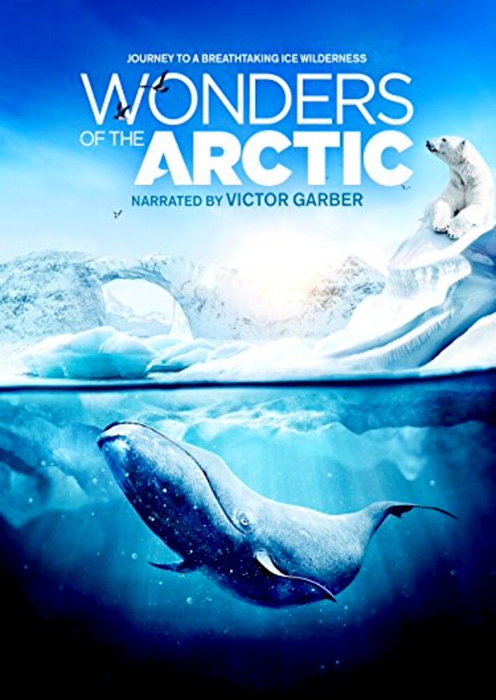 Wonders of the Arctic 3D