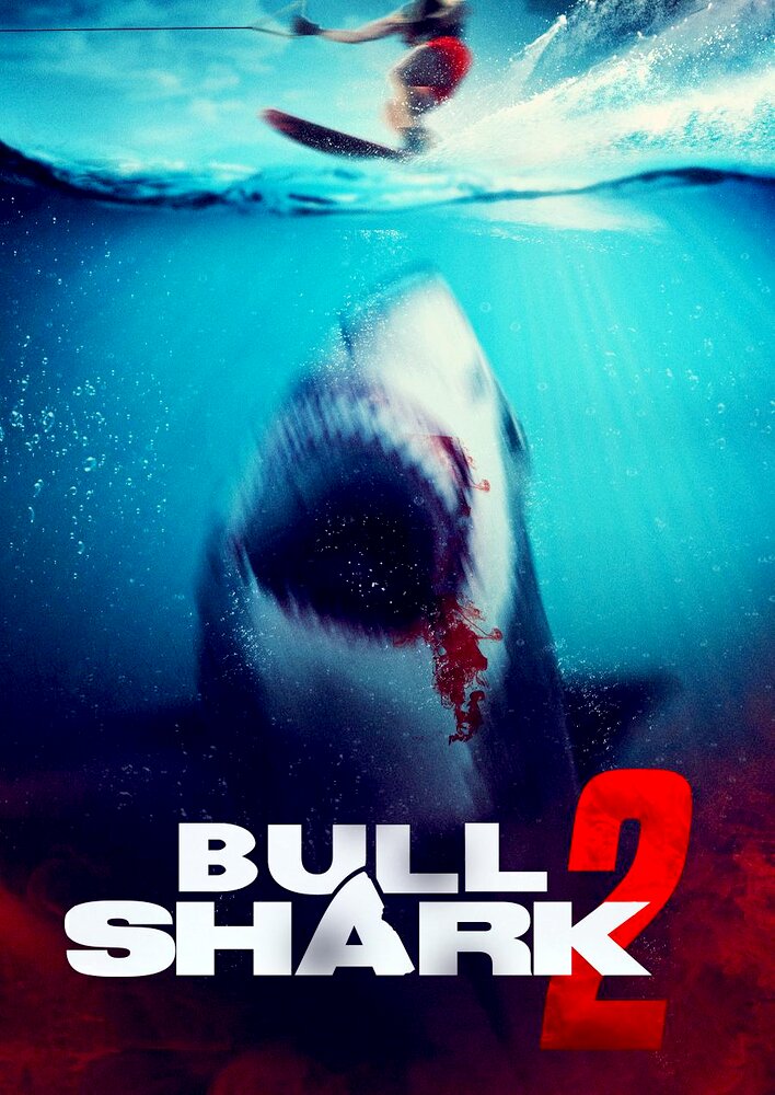 Bull Shark 2