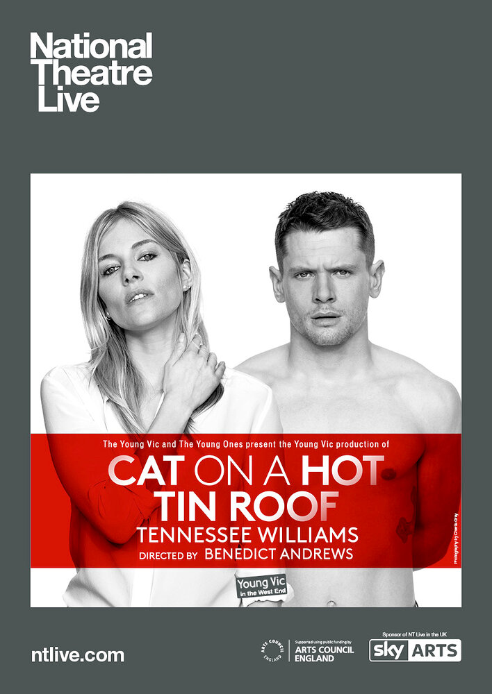 Cat on a Hot Tin Roof