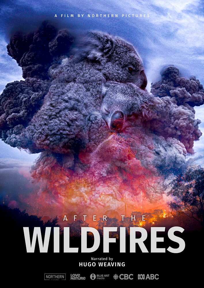 After the Wildfires