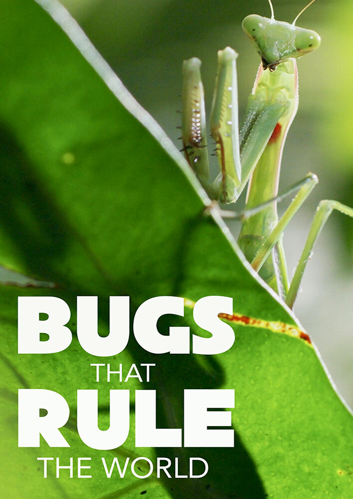 Bugs That Rule the World