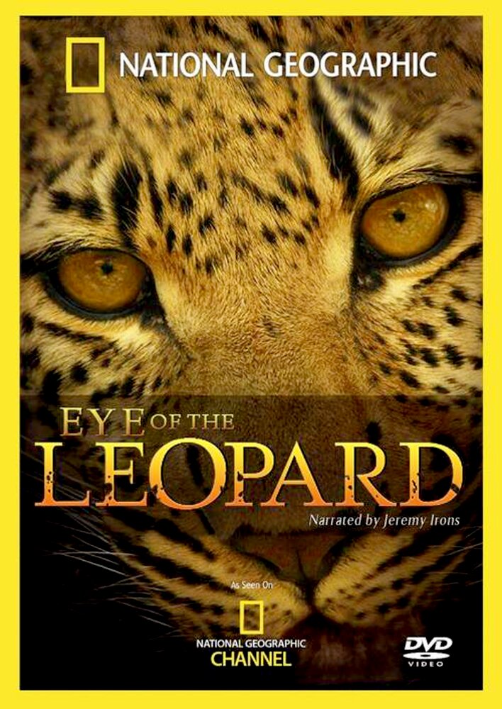 Eye of the Leopard