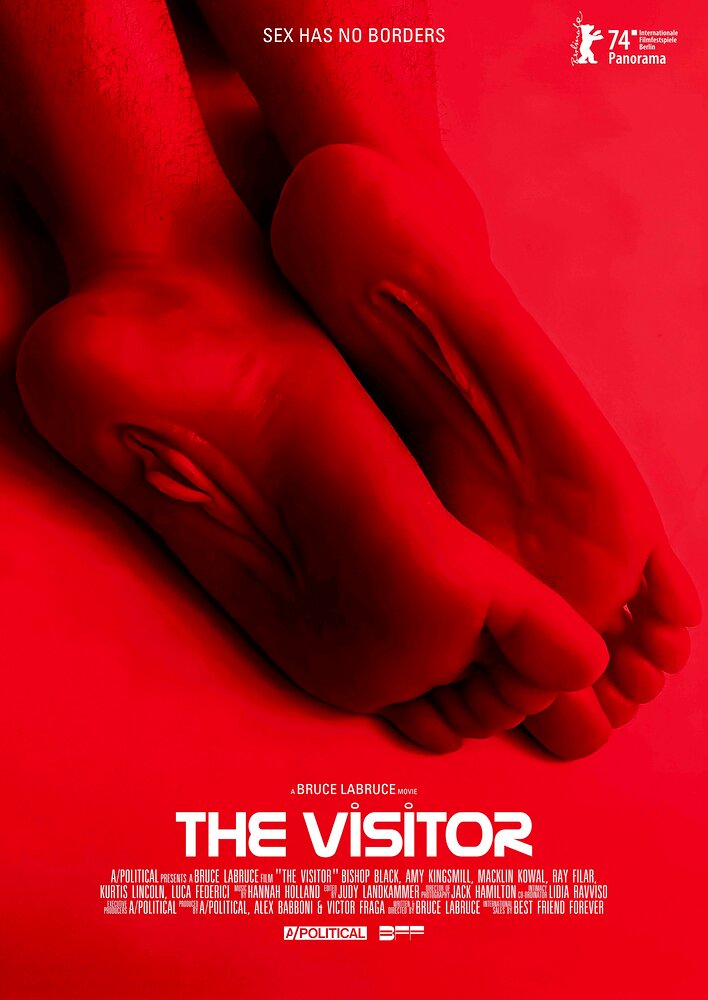 The Visitor