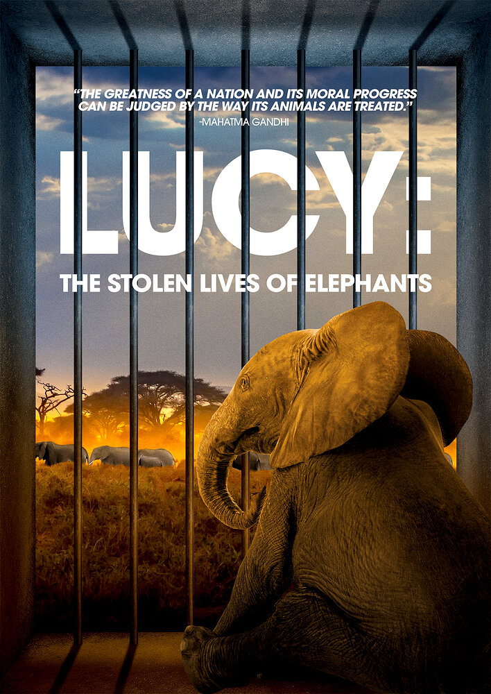 Lucy: The Stolen Lives of Elephants