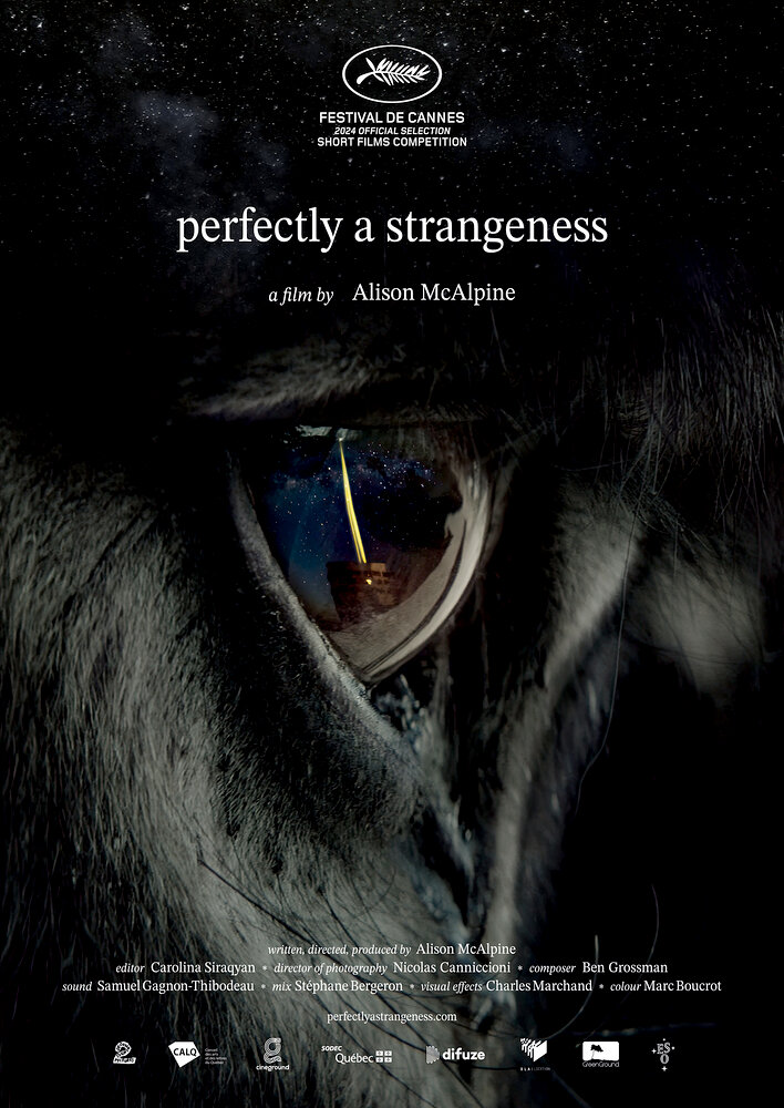 Perfectly a Strangeness