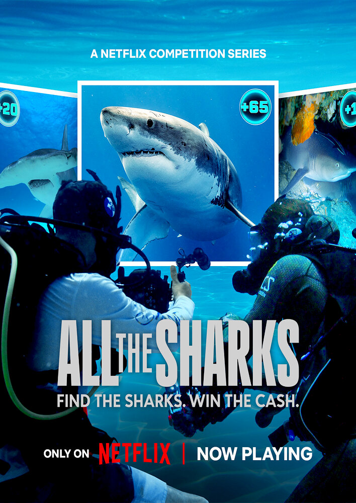 All the Sharks