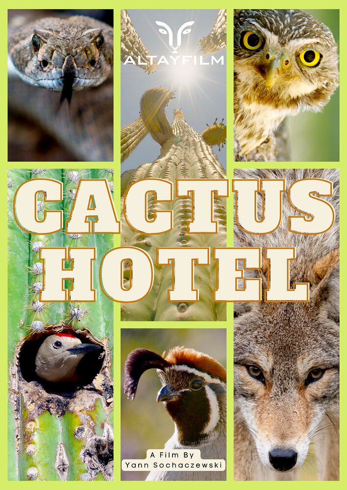 Cactus Hotel