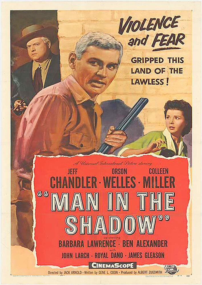 Man in the Shadow