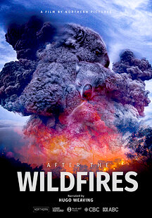 After the Wildfires