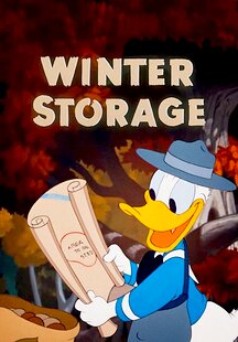 Winter Storage