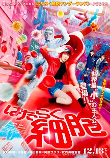 Cells at Work!