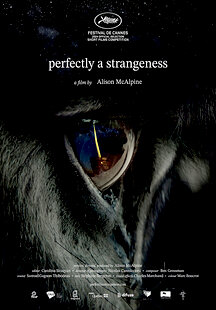 Perfectly a Strangeness