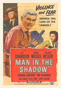 Man in the Shadow