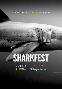 "National Geographic Sharkfest" Sharks Up Close with Bertie Gregory