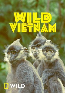 Wild Vietnam