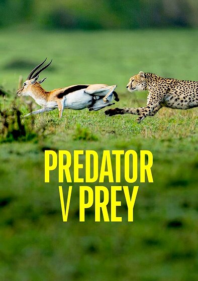 Predator v Prey