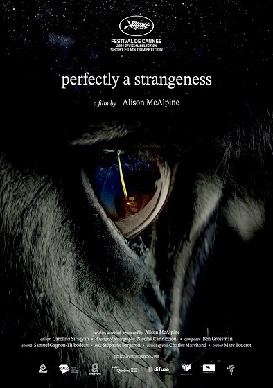 Perfectly a Strangeness