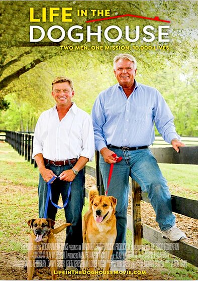 Life in the Doghouse