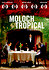 Moloch Tropical