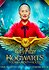 Harry Potter: Hogwarts Tournament of Houses