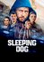 Sleeping Dog