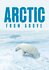 Arctic from Above