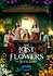 The Lost Flowers of Alice Hart