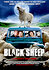 Black Sheep