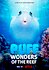 Puff: Wonders of the Reef