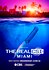 The Real CSI: Miami