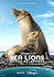 Sea Lions of the Galapagos