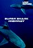 Super Shark Highway