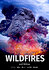After the Wildfires