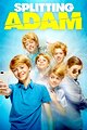Splitting Adam