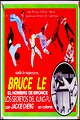 Bruce's Secret Kung Fu