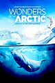 Wonders of the Arctic 3D