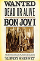 Bon Jovi: Wanted Dead or Alive