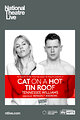 Cat on a Hot Tin Roof