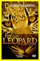 Eye of the Leopard