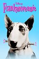 Frankenweenie