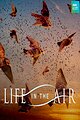 SuperNature - Wild Flyers