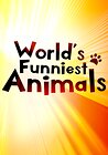 The World's Funniest Animals